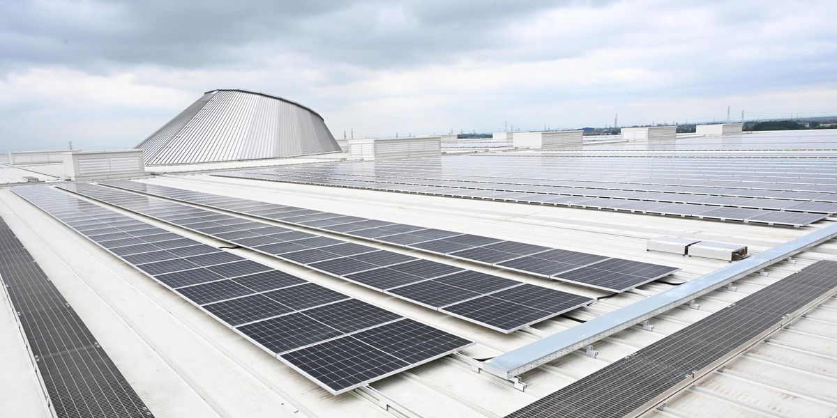 Sustainability and Investments: ups and downs of the energy transition