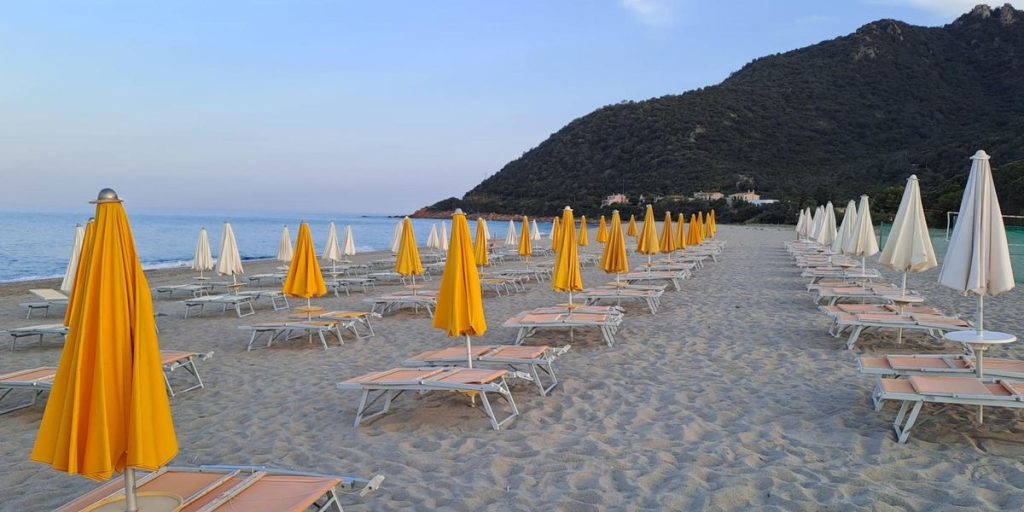 Summer 2024, here is the "dear" umbrella