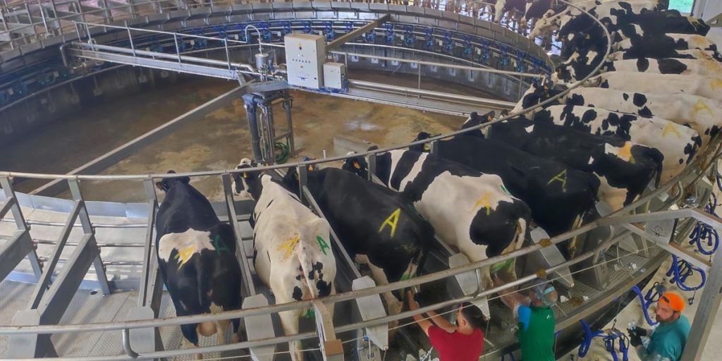 EU madness, here is the tax on "flatulence"