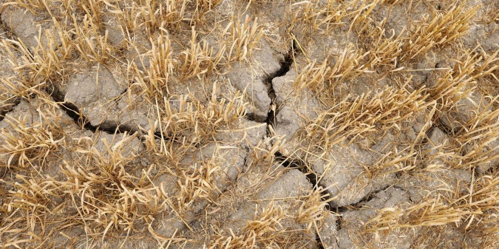 Drought in the south, water bombs in the north; this crazy weather is costing us billions of euros