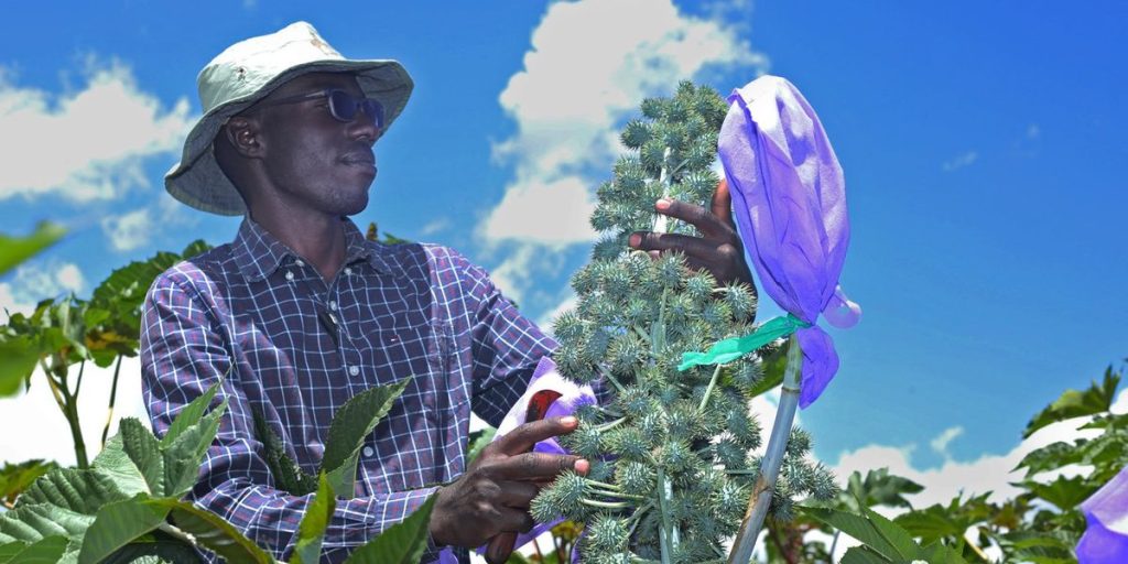 Africa Calls Italy - Panorama