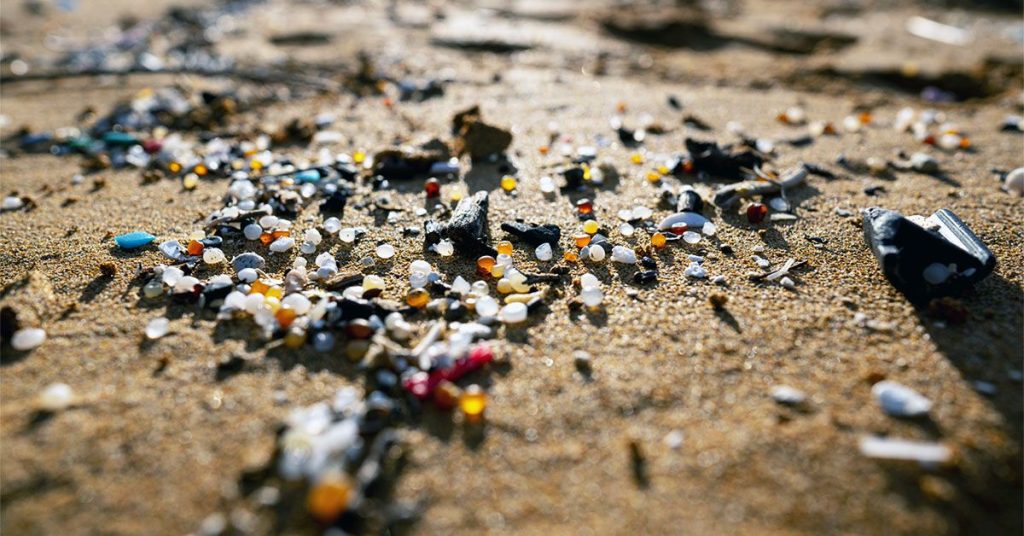 Scientists discover microplastics in the olfactory bulbs of the human brain