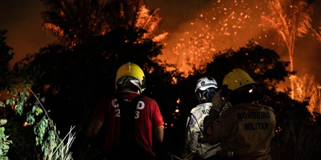 The arsonists of South America