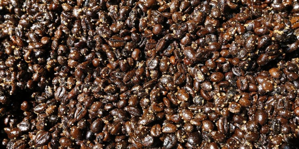 Logistics in trouble in Brazil: over 2 million bags of coffee stopped