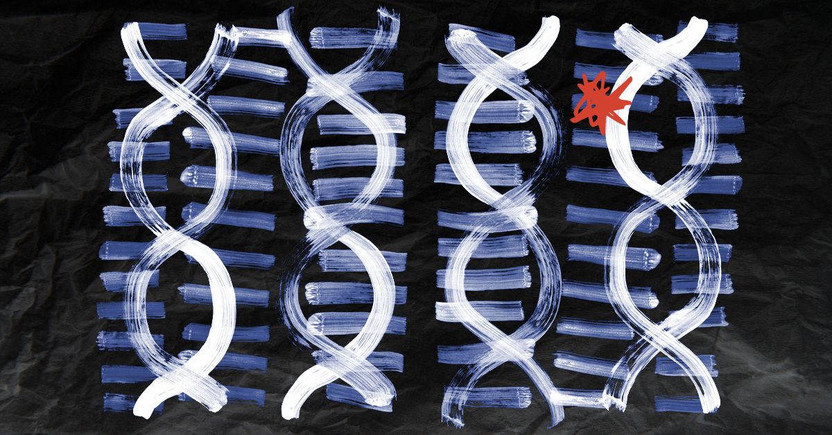 Does having 'skinny genes' mean you can skip exercise and diet?