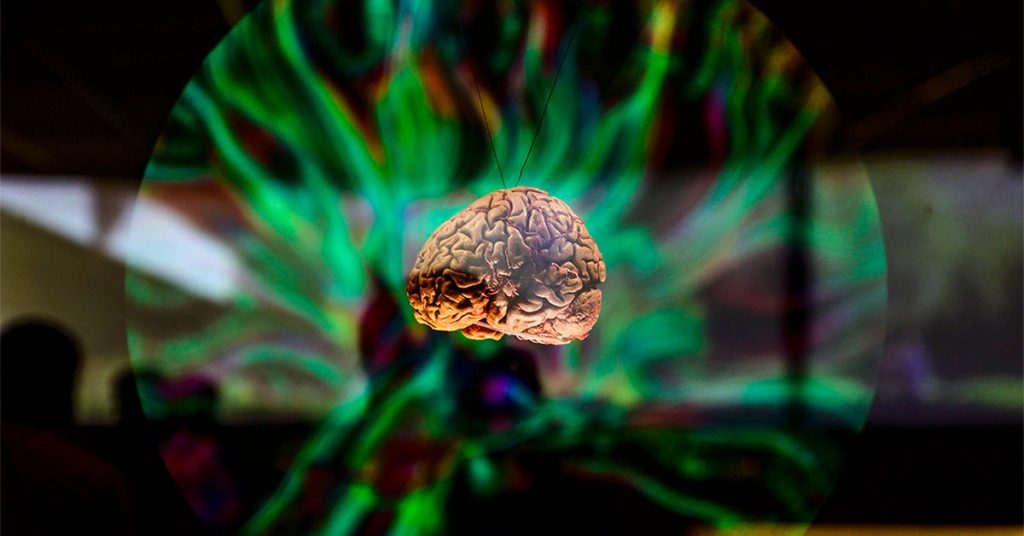 Parkinson's, ADHD tied to genes that affect brain volume
