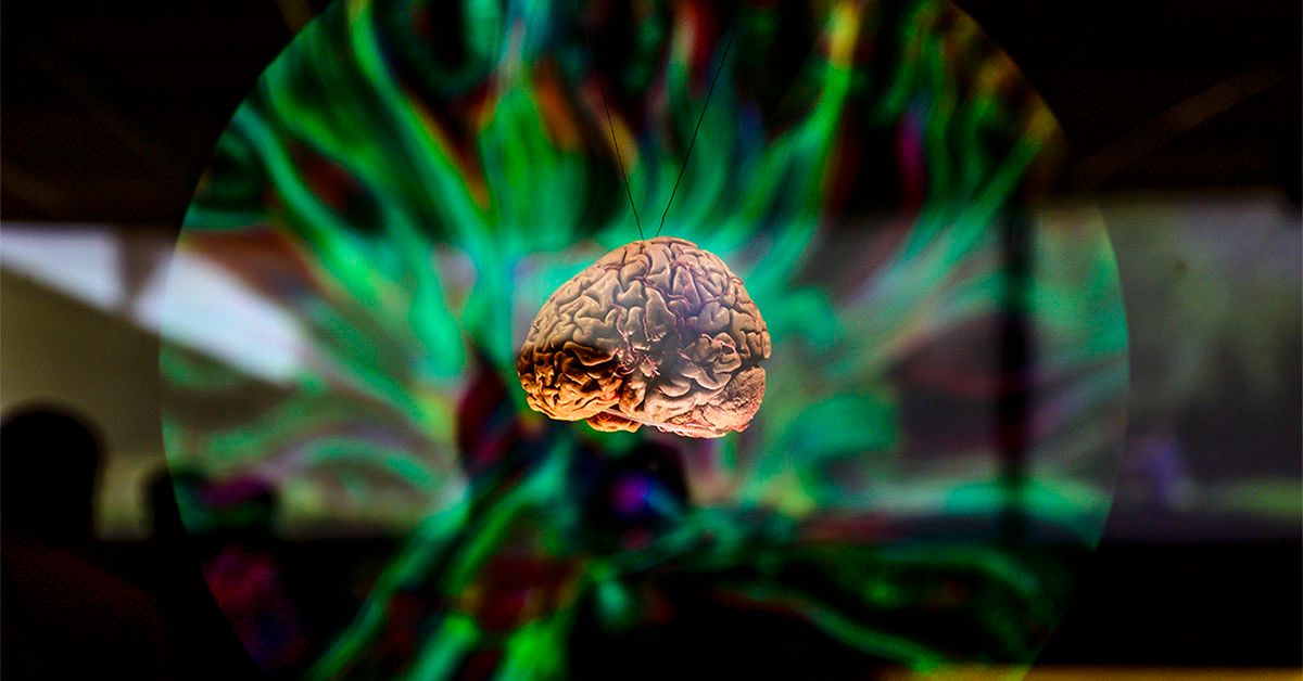 Parkinson's, ADHD tied to genes that affect brain volume