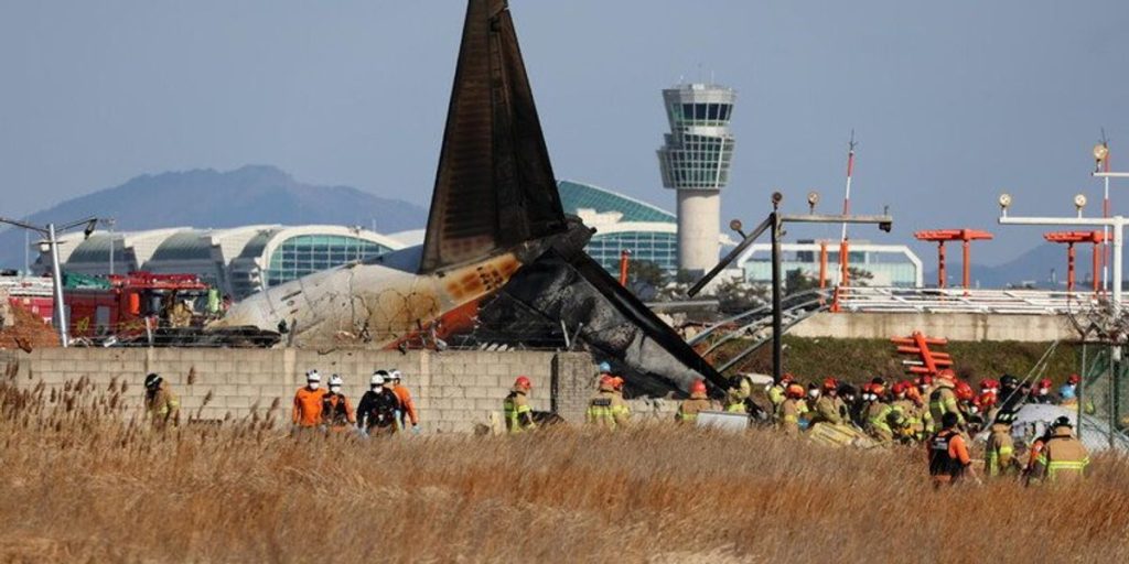 Air tragedy in South Korea, collision with birds and landing against a concrete wall