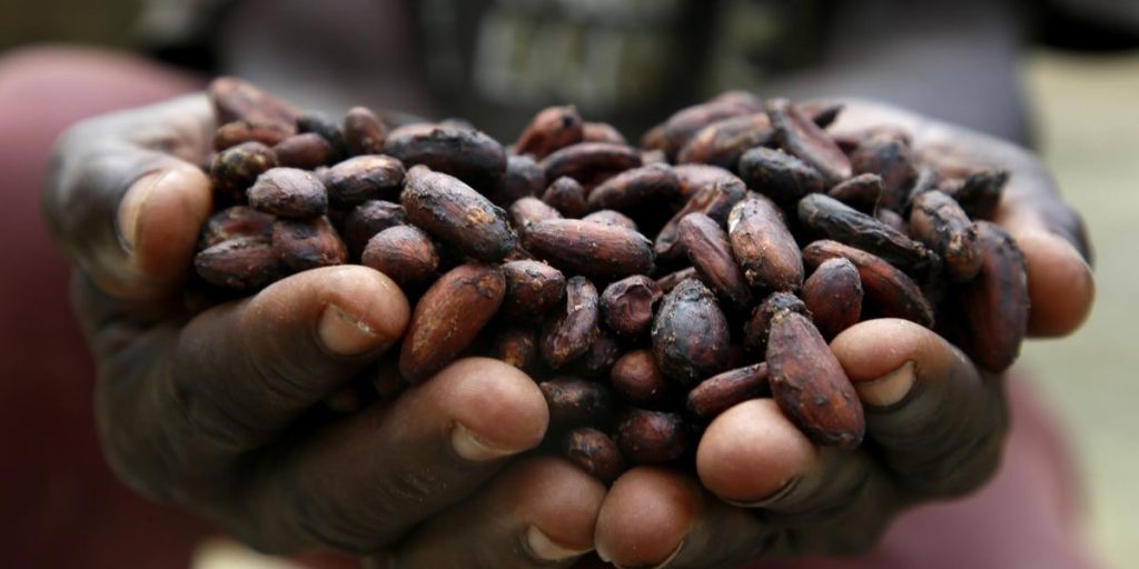 Increases in food raw materials: what awaits us in 2025