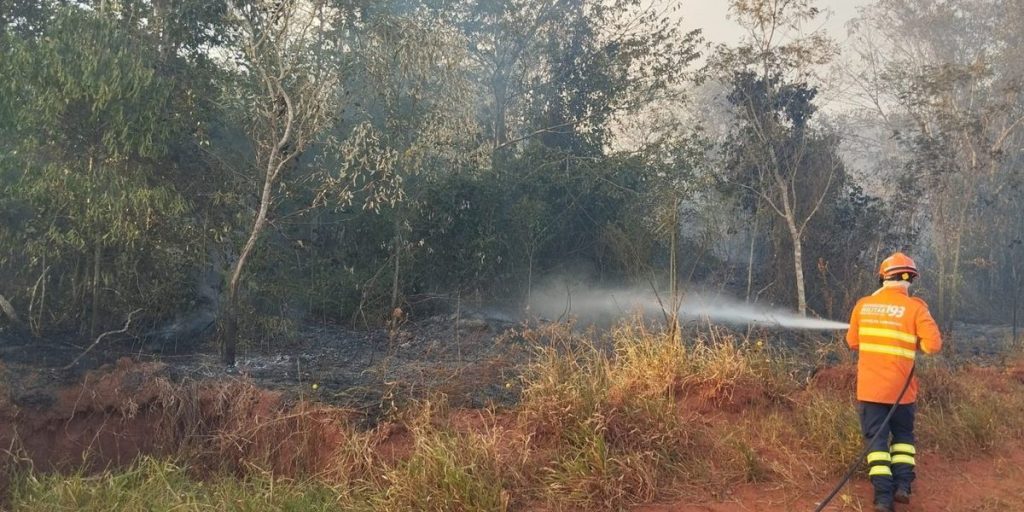 Brazil: an area larger than Italy on fire in one year