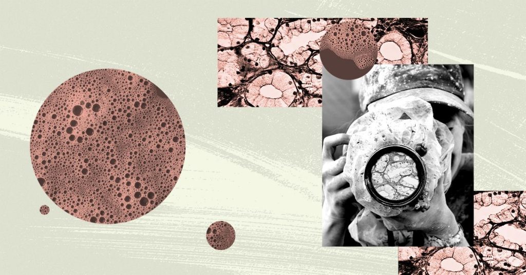 Cells all over the body store 'memories': What does this mean for health?