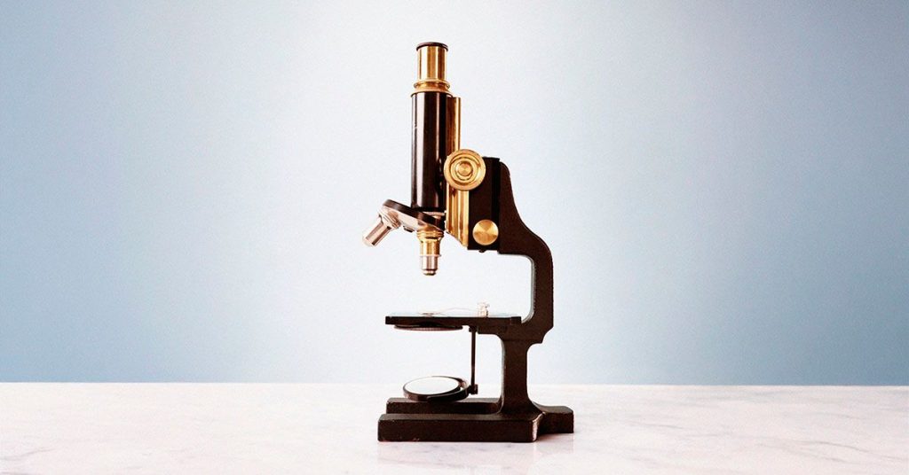 Could Stopping Nad Depletion Be Key To Slowing Down Aging?