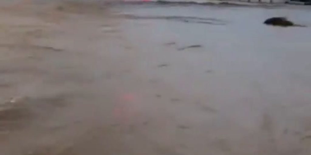 Argentina, devastating floods in Bahia Blanca: dozens of deaths and hundreds of missing