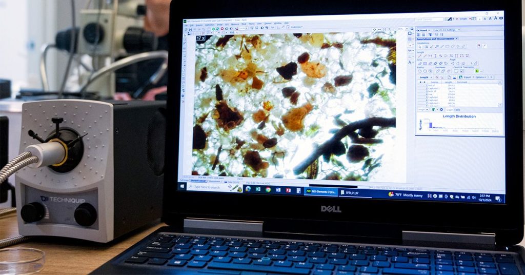 Microplastics in the Brain: How can we avoid exposure?