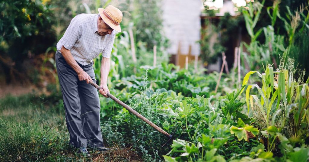Walking The Dog, Taking The Stirs Could Help Protect Your Heart