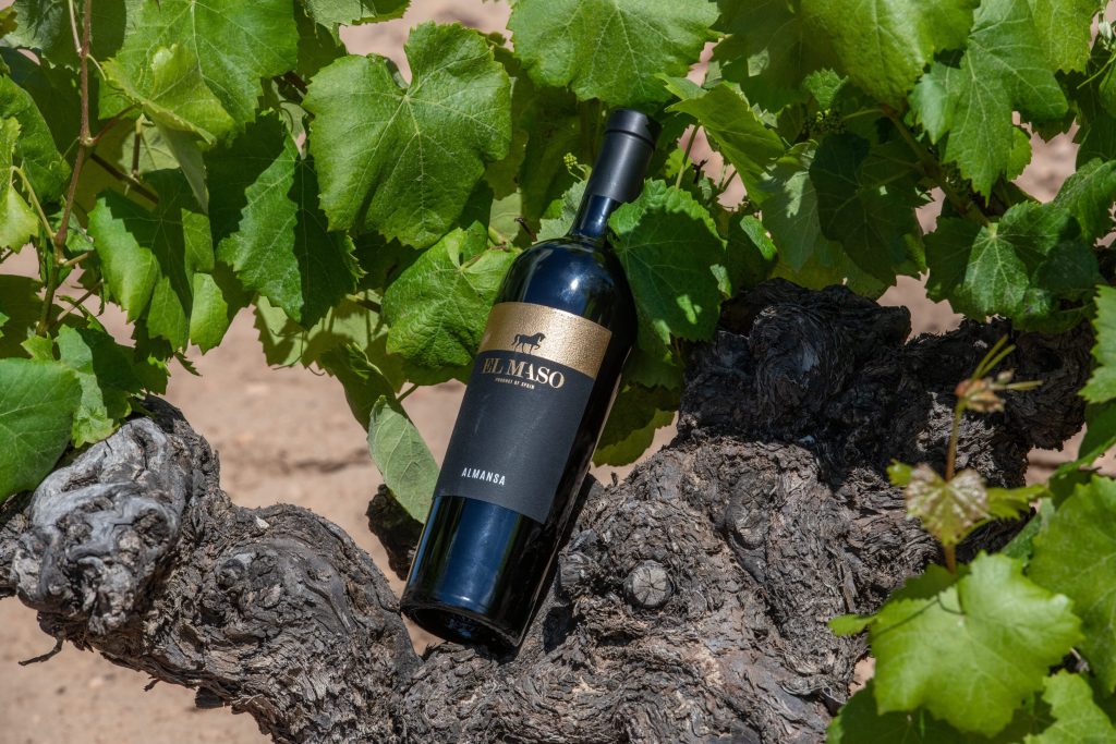 Fantini conquista le vette del vino spagnolo: l’acquisizione della cantina ex Venta la Vega