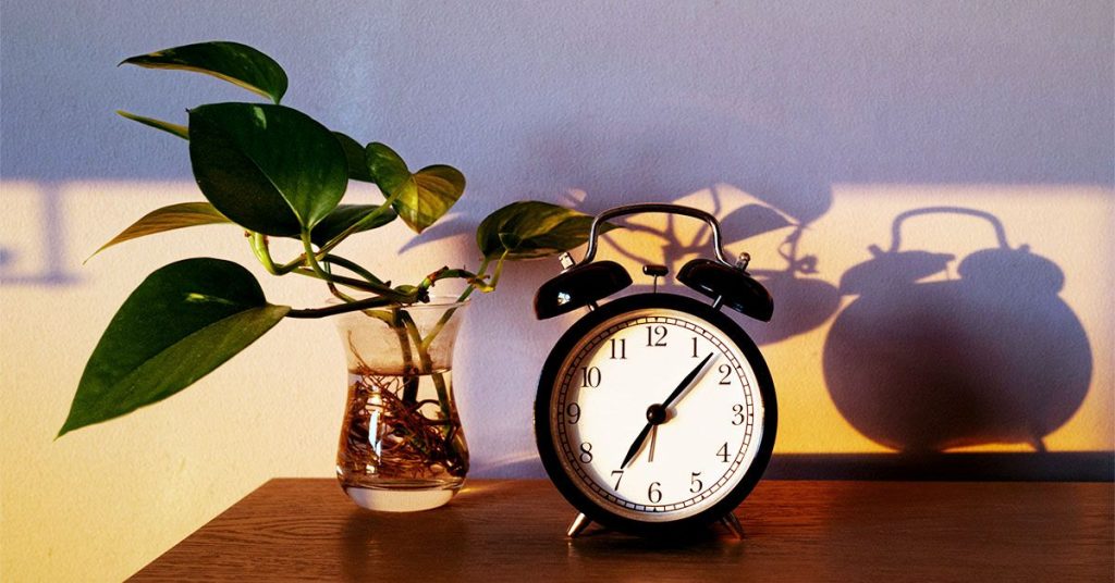 2 Low-Calorie Days to Week Could Aid Weight Loss, Blood Sugar Control in Diabetes