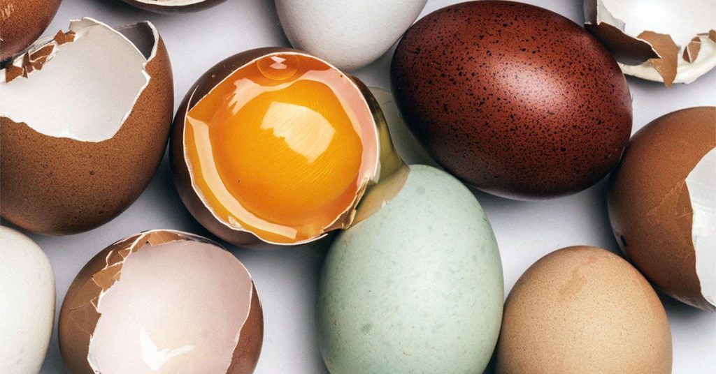 Eating 1 Egg per Week Linked To Lower Alzheimer's Risk, Study Finds