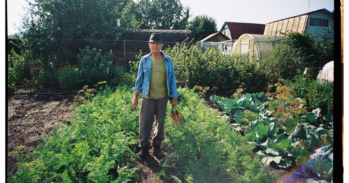 3 diet Types May Help reduces Chronic Disease Risk in Older Adults