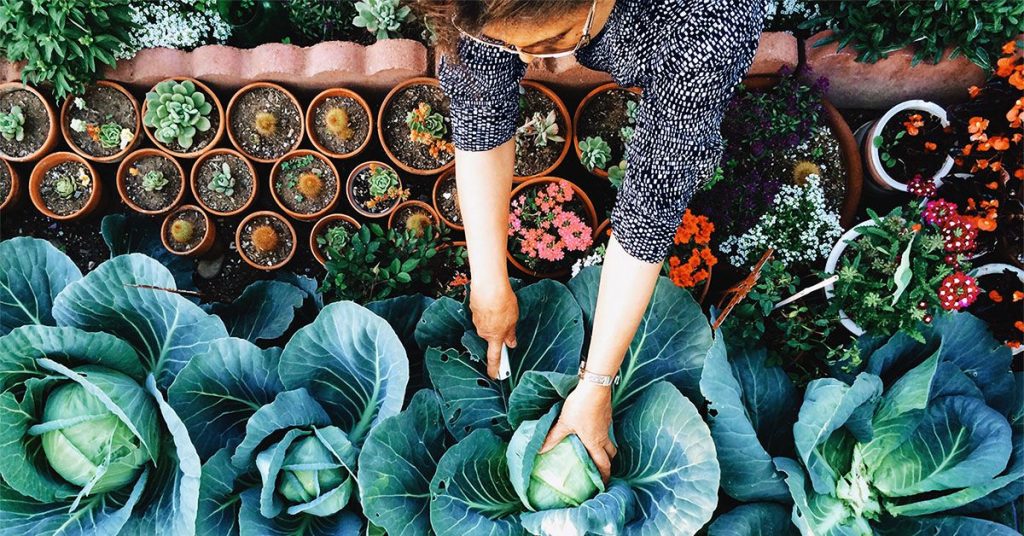 Revised Aha Guidelines on Hypertension: What's New?