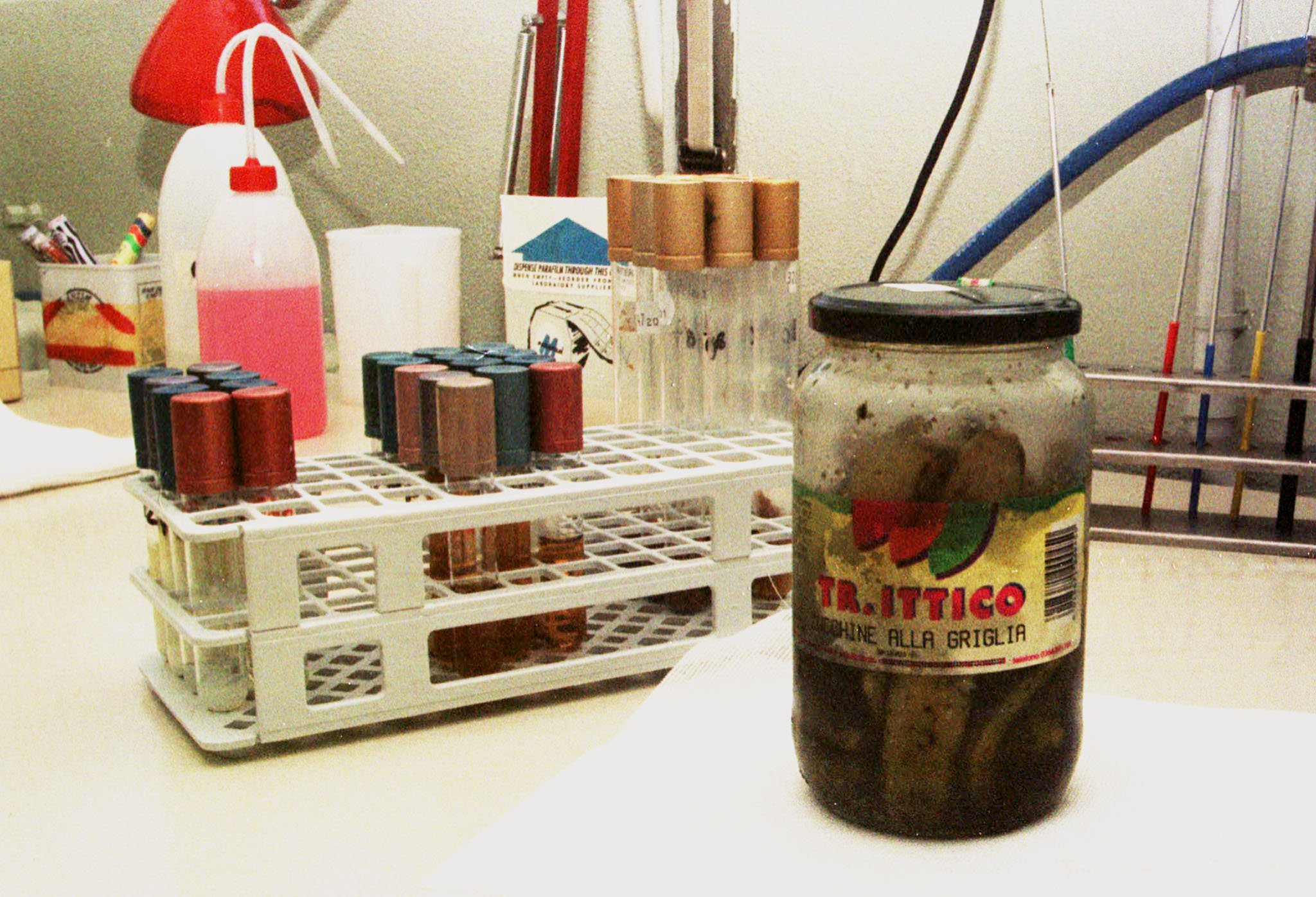 Botulino, due morti in poche ore tra Calabria e Sardegna: cosa sappiamo (e perché l’antidoto passa da Pavia)