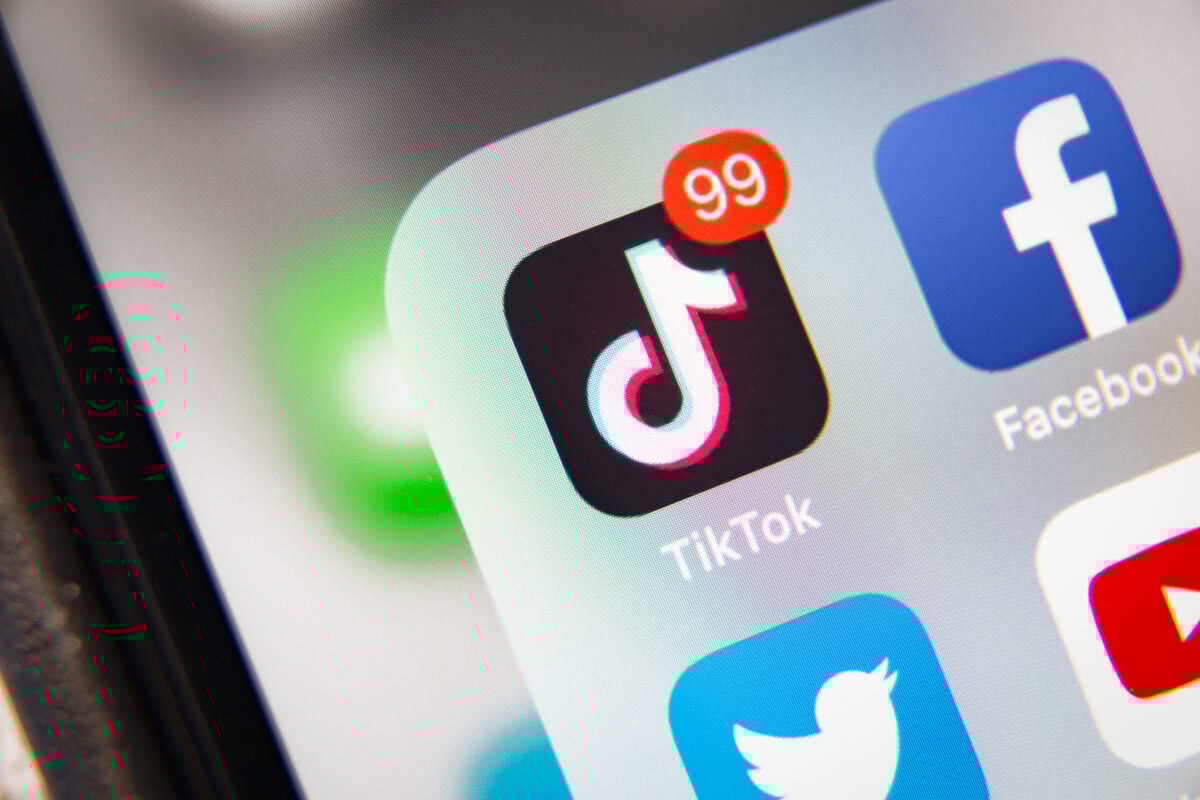 Francia, stretta shock su TikTok: proposta la messa al bando per gli under 15