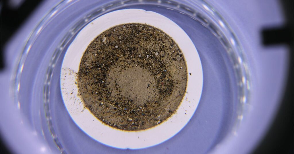 Microplastics in the gut tied to patterns seen in colorectal cancer