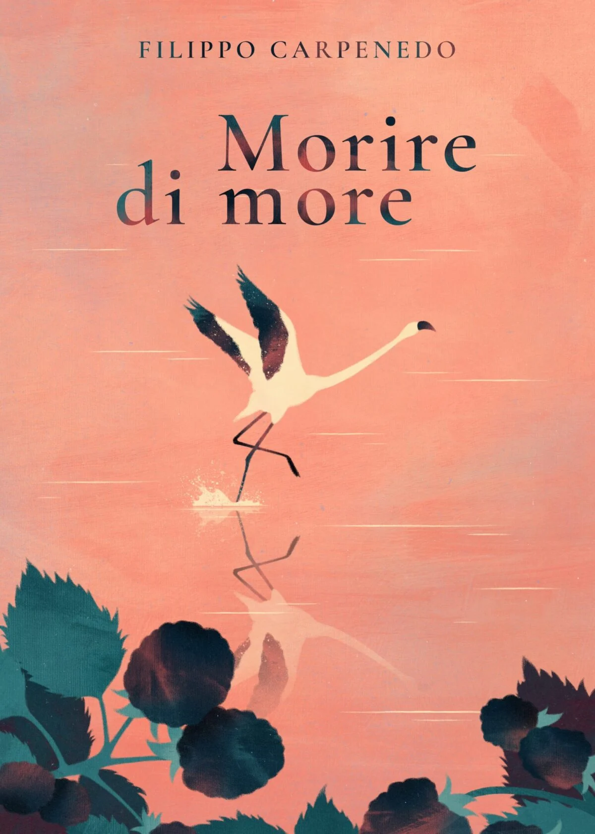 Shopping, gifts for those who love reading