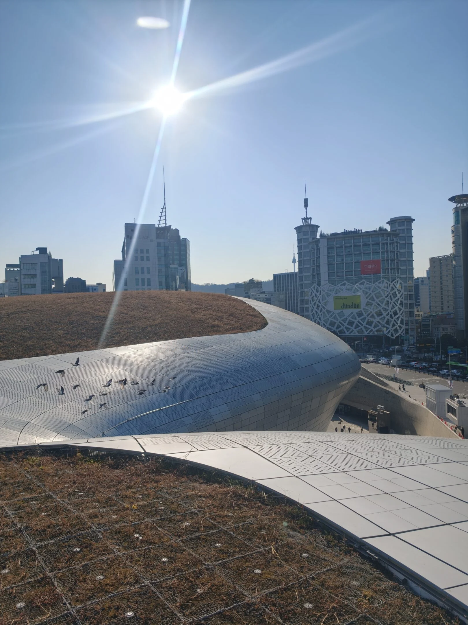 Seoul come non l’avete mai vista: la camminata segreta sul tetto della DDP che cambia la prospettiva sulla città