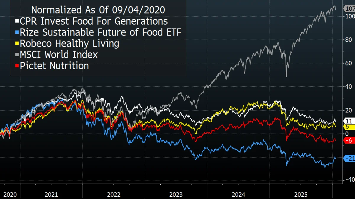 Investment Tips for 2026: shares and raw materials