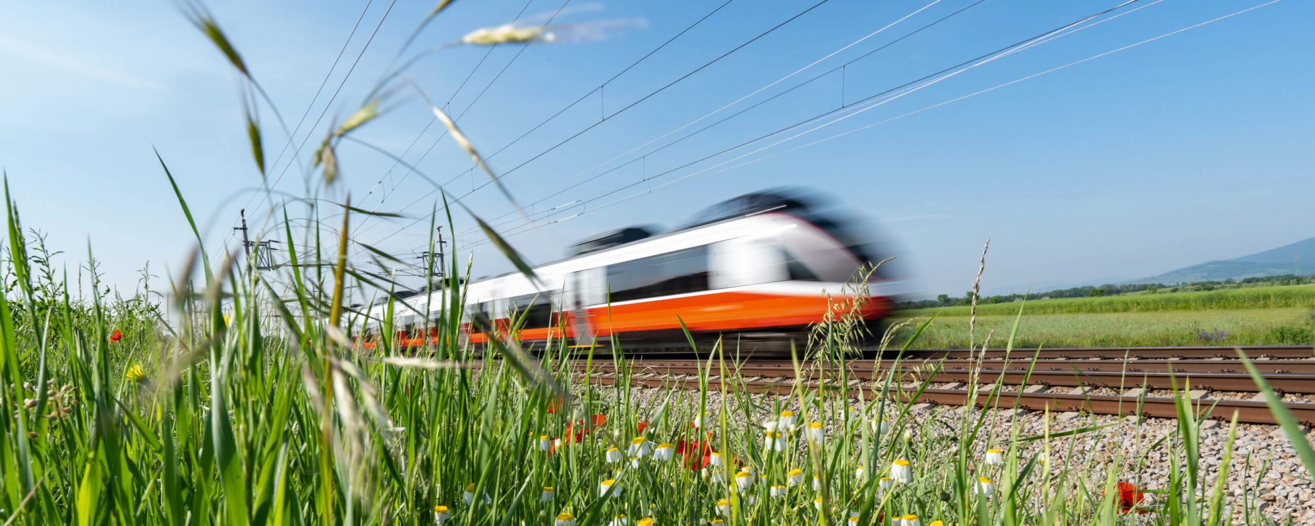 Treni come gli aerei: arriva il pricing dinamico anche per l’Alta Velocità. Ecco cosa cambia