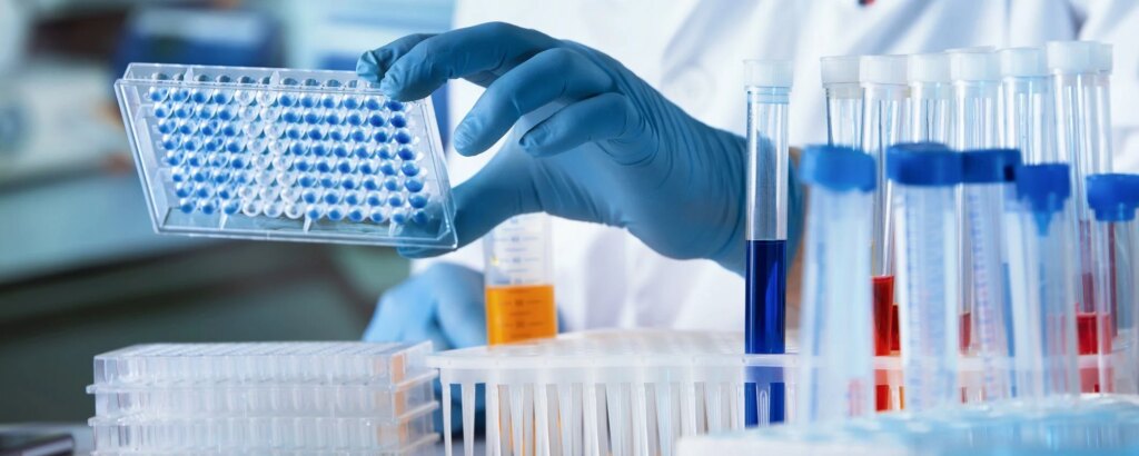 Virus Nipah, può diventare il nuovo Covid? Cosa sappiamo su sintomi, trasmissione e rischi