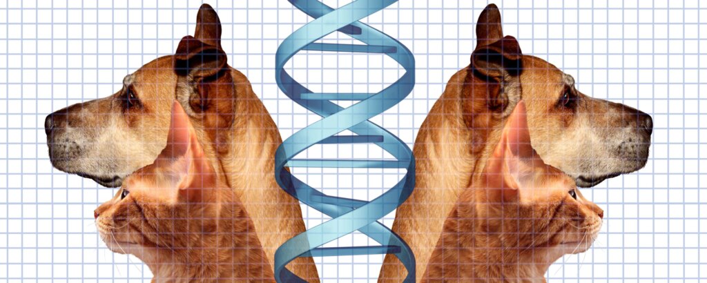 Clonare il proprio animale è per sempre: viaggio nel mercato che “riporta in vita” cani, gatti e ora punta ai… mammut