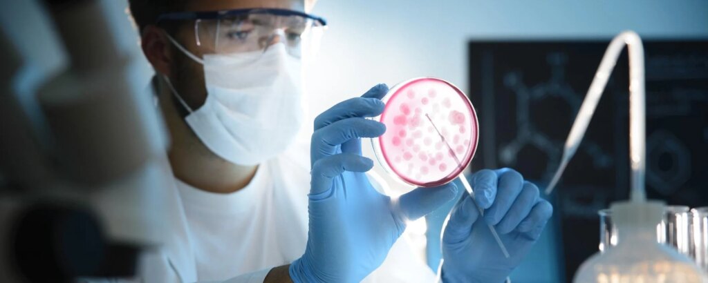 Guerra ai batteri in ospedale: grazie a squali e libellule