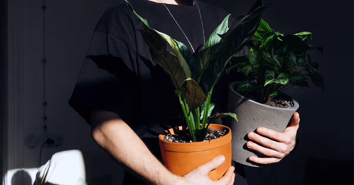 How to stay active beyond exercise: 3 medical experts advise