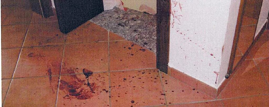 Garlasco, il racconto del ritrovamento del corpo: «C’è stato accanimento»