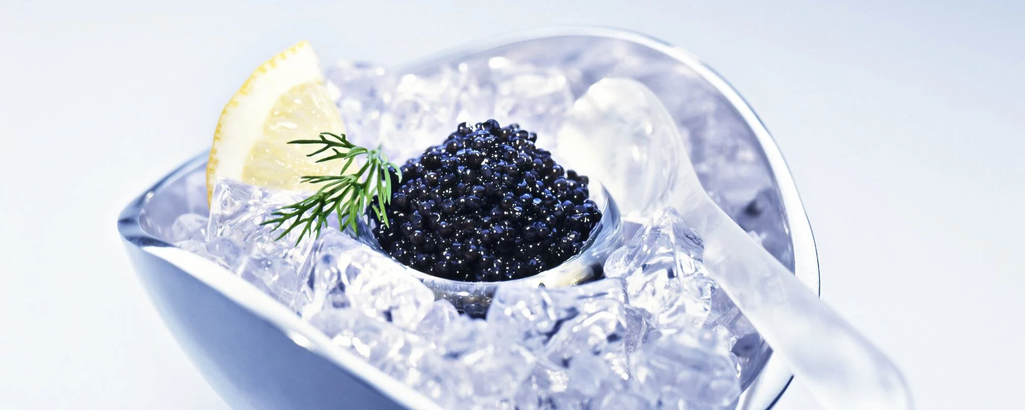 Caviale, l’afrodisiaco degli Zar e di Casanova: la scienza dietro il mito dell’«oro nero»”