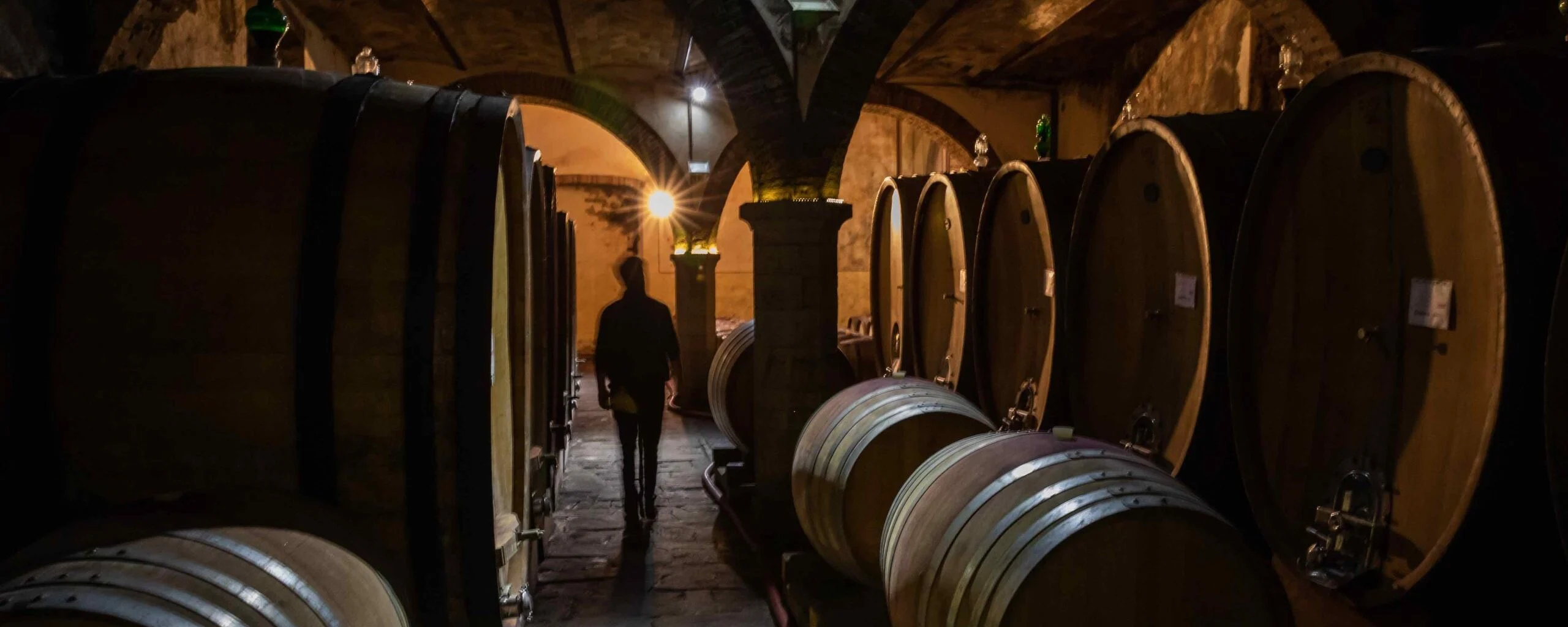 Vino, tempesta perfetta: export a -13% e 74 milioni di ettolitri fermi in cantina. Ragioni (e soluzioni) della crisi