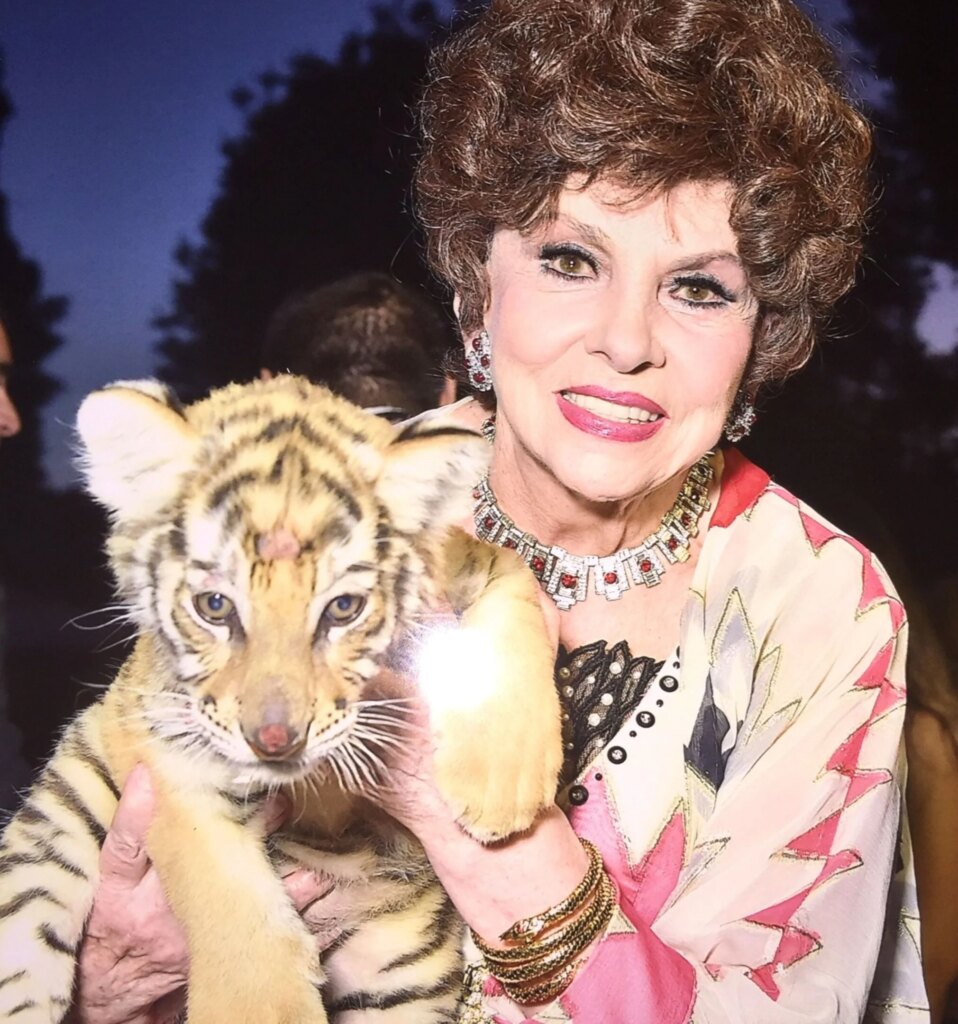Gina Lollobrigida, l’eredità della diva diventa una docu-serie: il caso che ha diviso una famiglia arriva su HBO Max