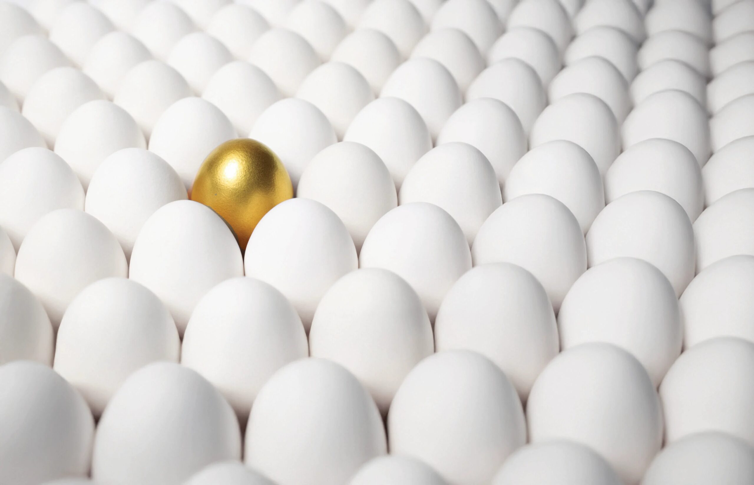 Uova, il ritorno che costa caro: da alimento dei poveri a simbolo dell’inflazione globale