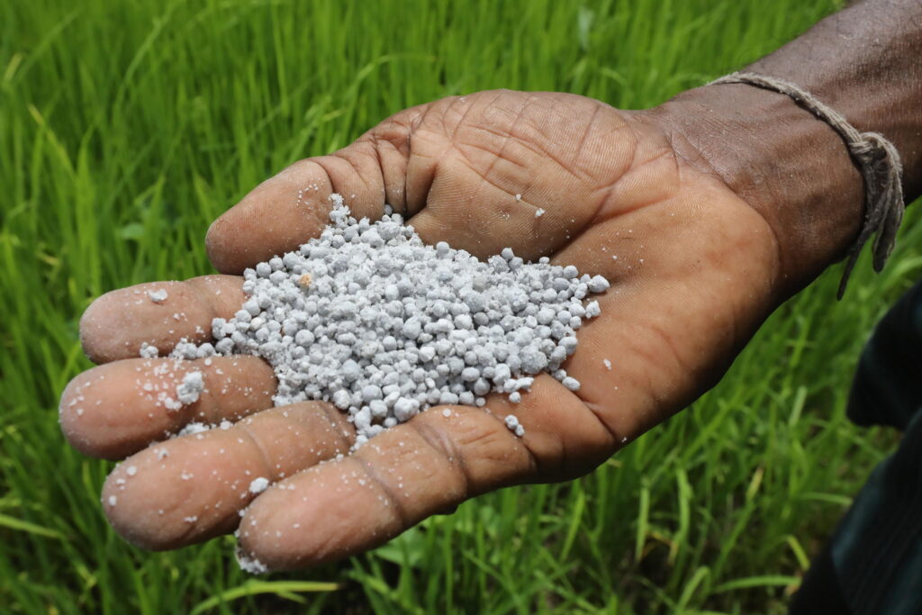 Fertilizzanti, tregua inutile: prezzi ancora alle stelle e agricoltura in crisi, ecco cosa sta succedendo davvero