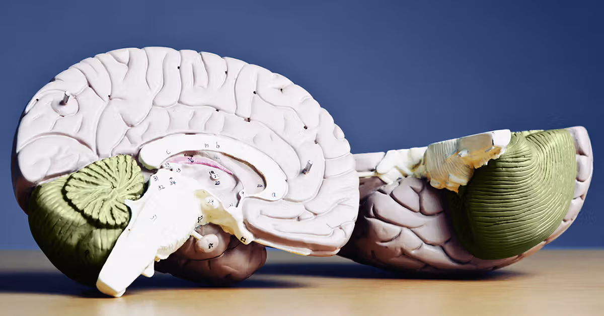 AHA identifies 10 key factors to lower dementia and stroke risk