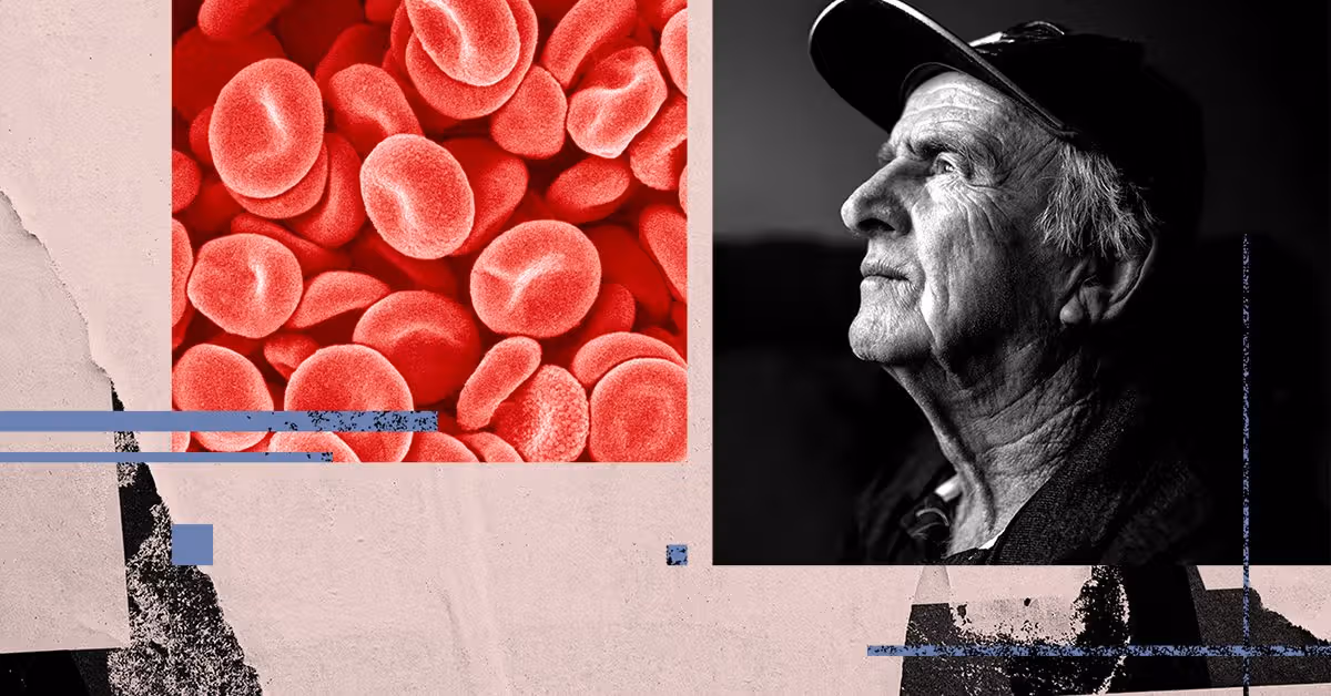 Blood test measuring biological age may reveal dementia risk