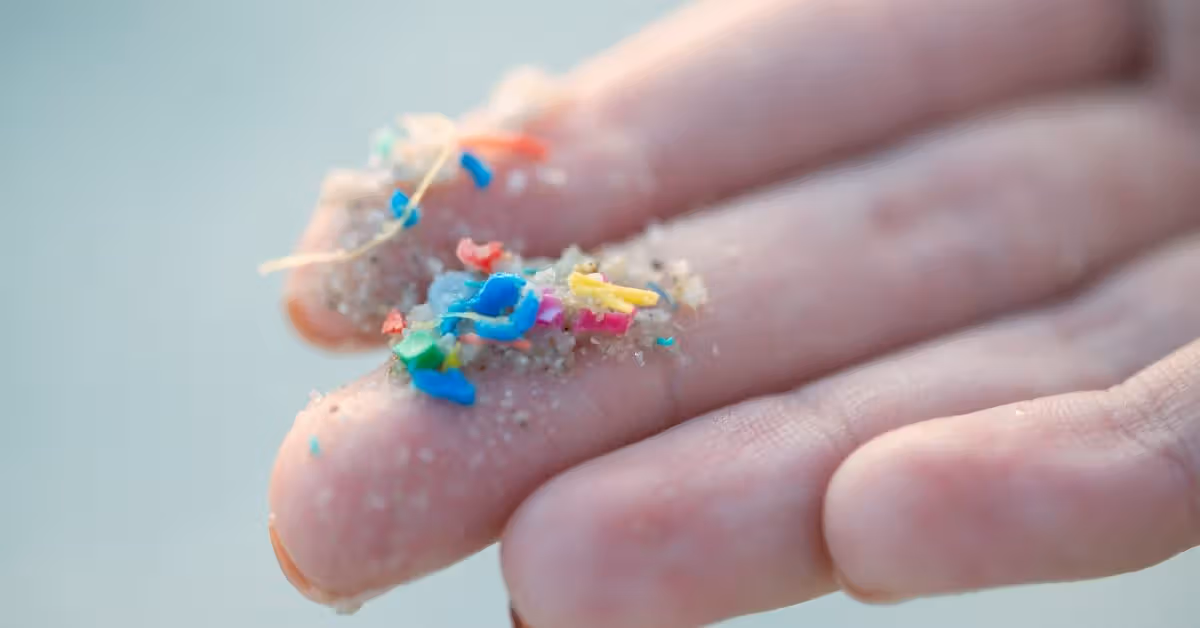 Common packaging microplastic may worsen fatty liver damage, study shows