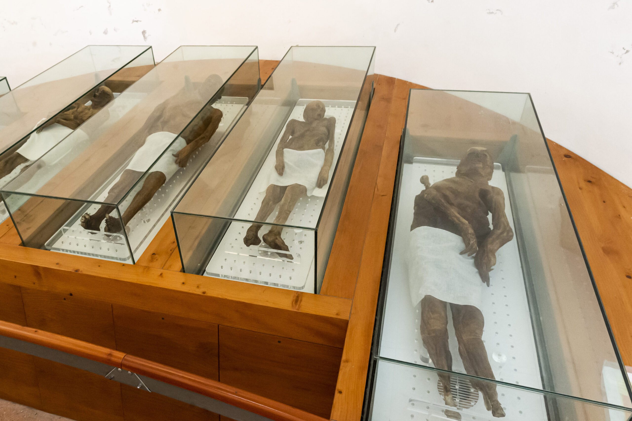 Il mistero delle Mummie di Venzone: come hanno fatto questi corpi a conservarsi per secoli senza imbalsamazione?