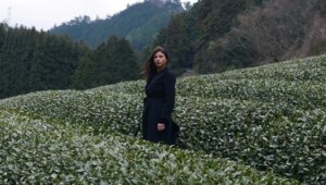 Un angolo di quiete a Manhattan grazie al matcha e al tè verde del Giappone portato negli Usa da un’italiana