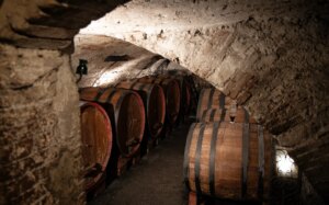 Farina Wines, un secolo di Valpolicella tra tradizione e innovazione tecnologica