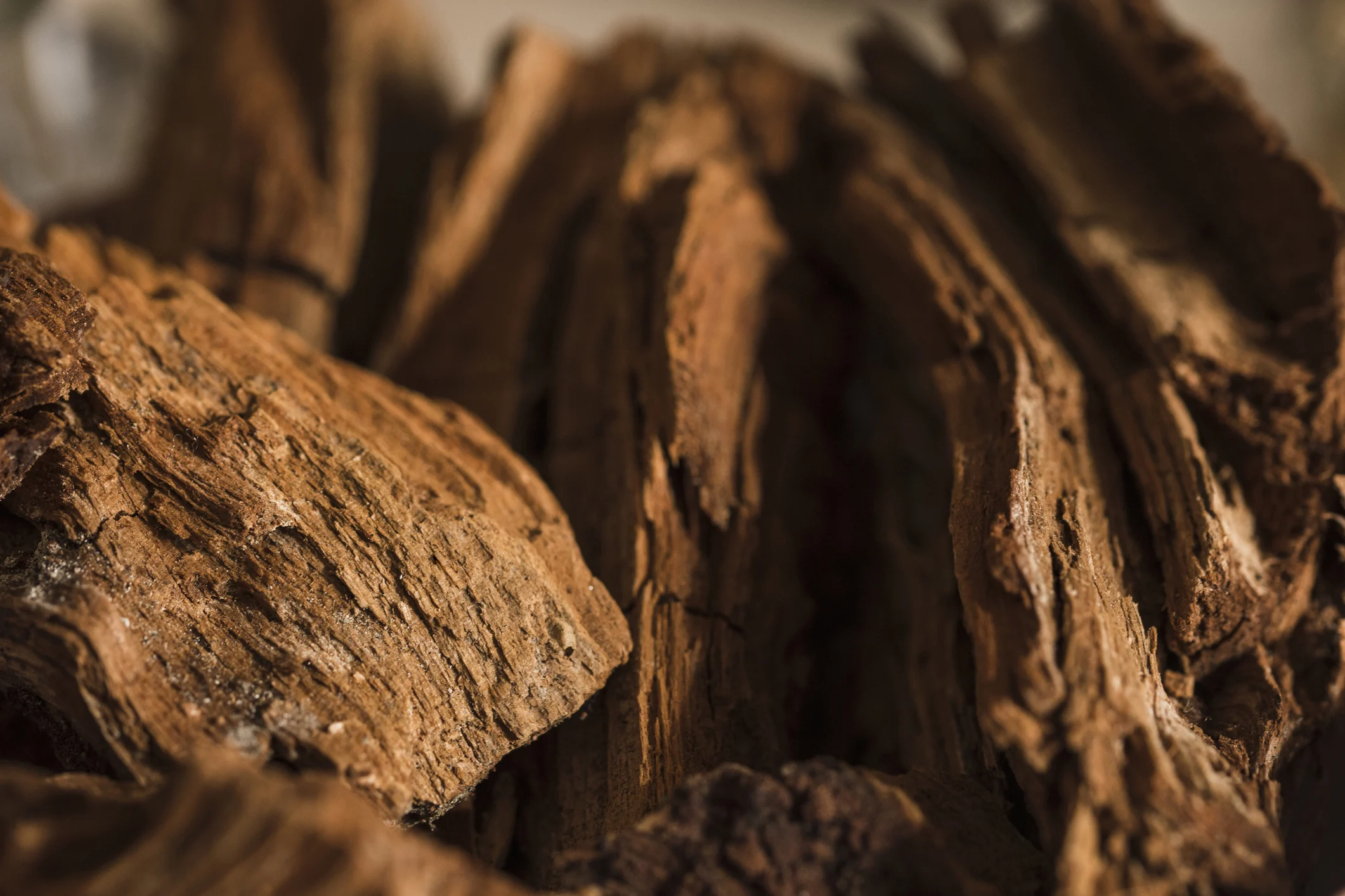 Kynam, il legno orientale che costa più dell’oro