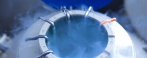 Social freezing, il congelamento degli ovuli per fermare il tempo: costi e aiuti regionali