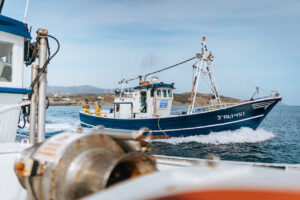 Pesca sostenibile, la preoccupazione per gli oceani: cosa cambia al supermercato